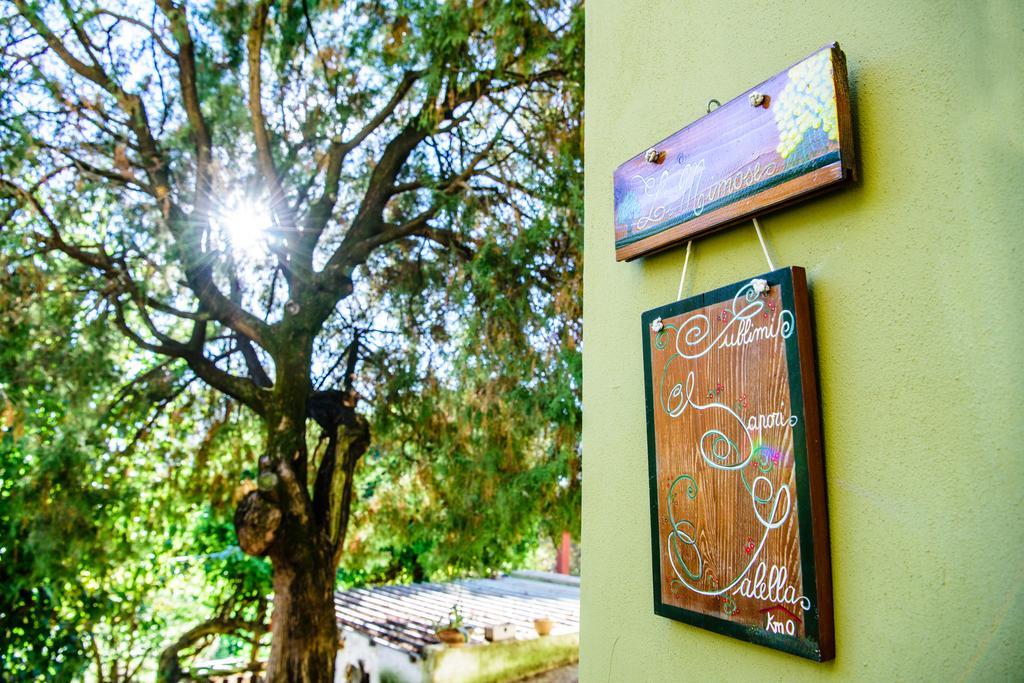 aCasaMia Wine Resort San Cipriano Picentino Esterno foto