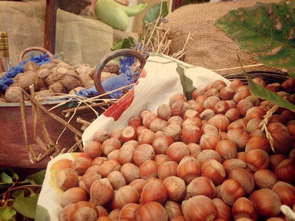 aCasaMia Wine Resort San Cipriano Picentino Esterno foto